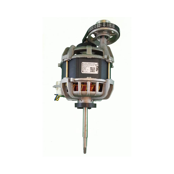 Blomberg 2953880100